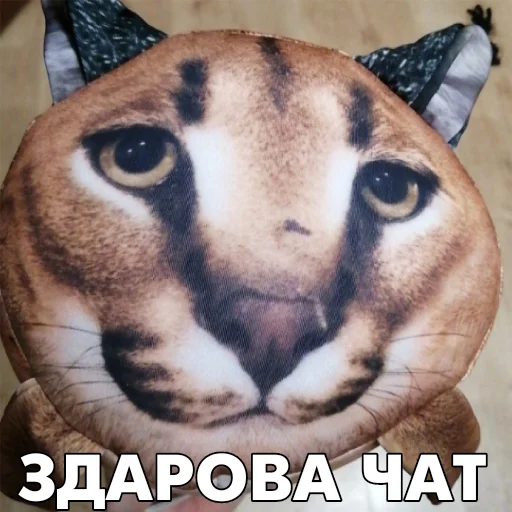 Стикер Floppa BLOPTOP