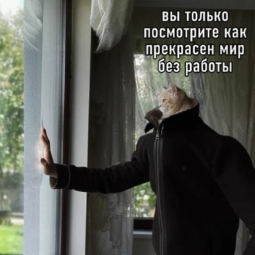 Стикер FockingLife
