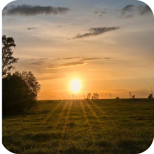 Стикер Природа