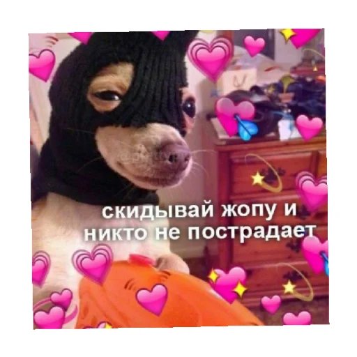 Набор стикеров
