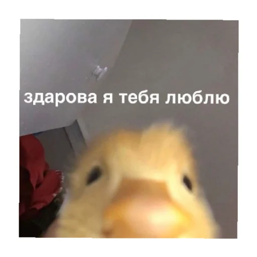 Стикер For every occasion 3