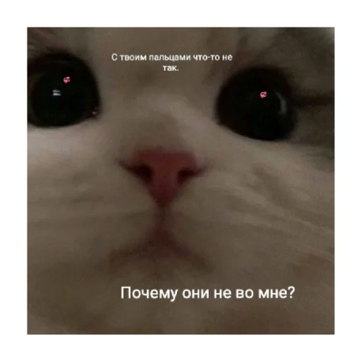 Стикер For every occasion 4