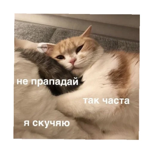 Стикер For every occasion 5
