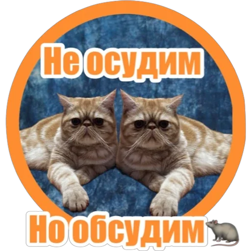 Стикер Фокс