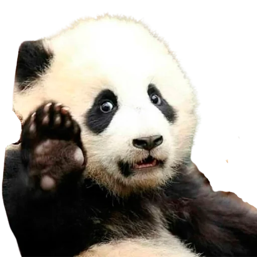 Стикер My freaky zoo