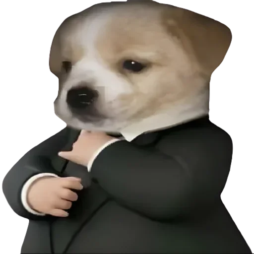 Стикер Animals