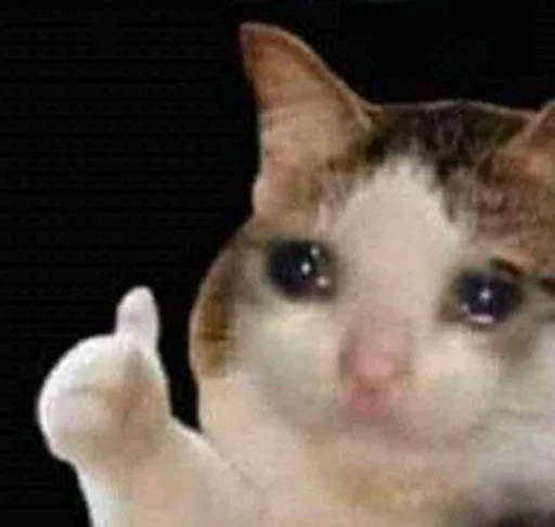 Стикер Catto