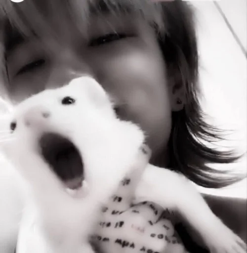 Стикер 𝑨𝑺𝑯 𝑰𝑺𝑳𝑨𝑵𝑫