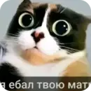 Стикер Гейские стикеры для джентельменов