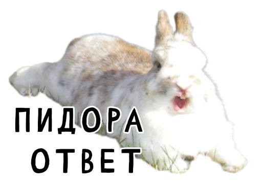 Стикер Гнилые кролики