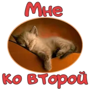 Набор стикеров