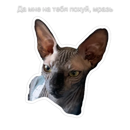Набор стикеров