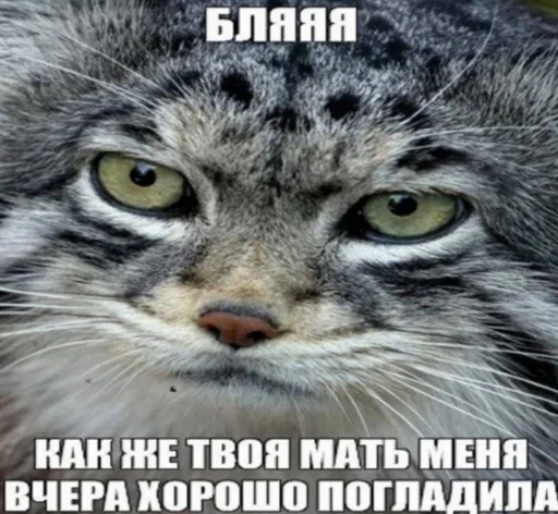Стикер недындра