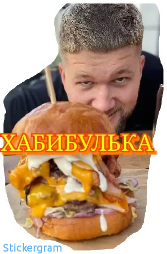 Стикер Хабибуллины
