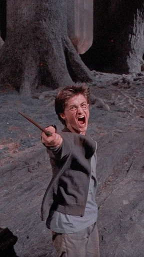 Стикер Гарри Поттер