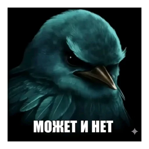 Стикер Birds Memes