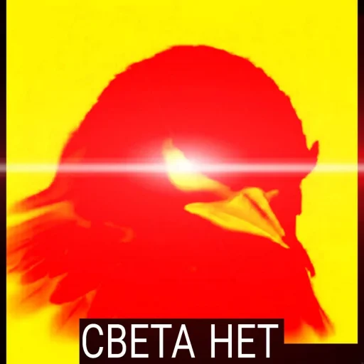 Стикер Birds Memes
