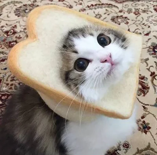 Стикер Bread Cats