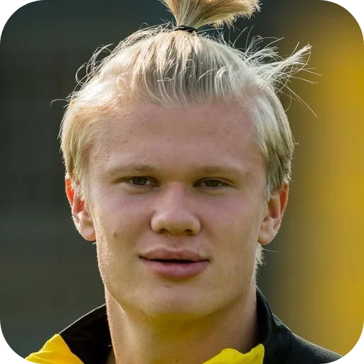 Стикер Erling Haaland