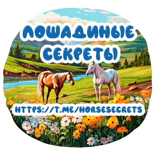 Стикер Horse Secrets