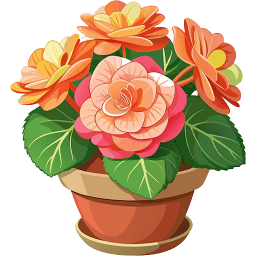 Стикер House Plants