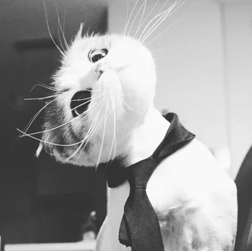 Стикер Iam Young