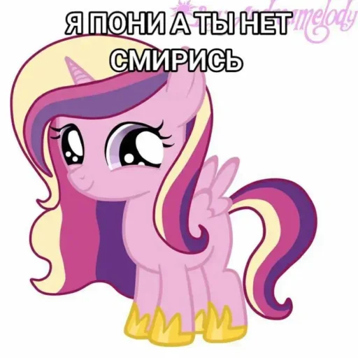 Стикер Я пони а ты нет