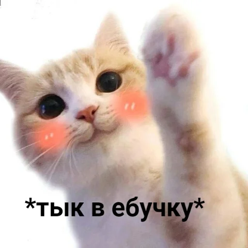 Стикер Animals | Животные