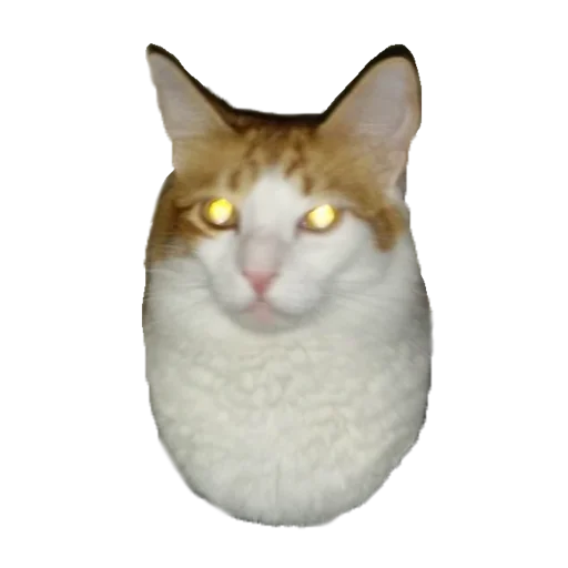 Стикер мс пох