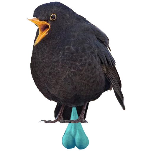 Стикер in DROZDeggs colour