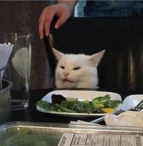 Стикер IpCatMeme
