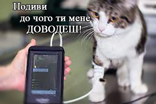Набор стикеров