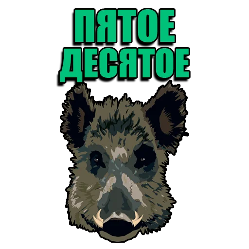 Набор стикеров