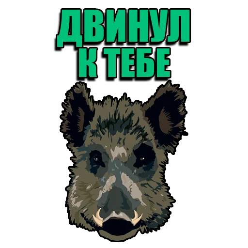 Набор стикеров