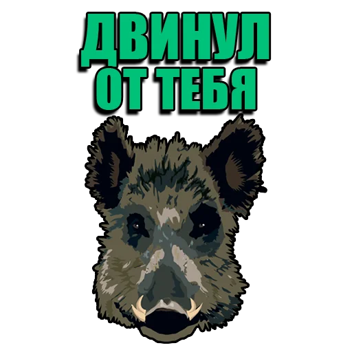 Набор стикеров