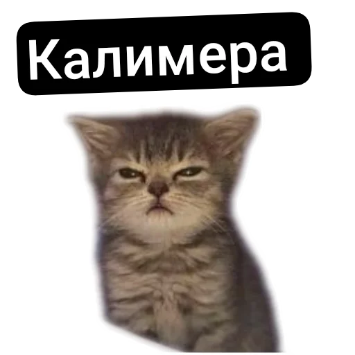 Набор стикеров