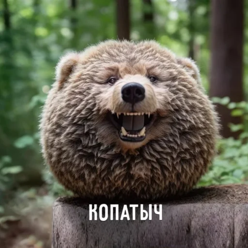 Стикер СмешарикиIRL