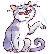 Стикер Meme Cats