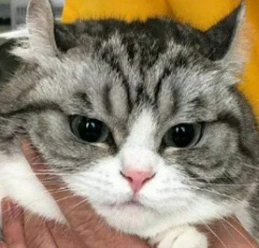 Стикер Будни Комару