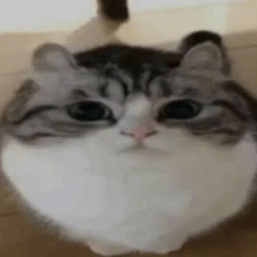 Стикер Комару