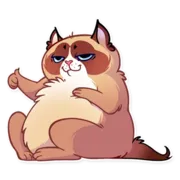 Стикер Кooky Сat