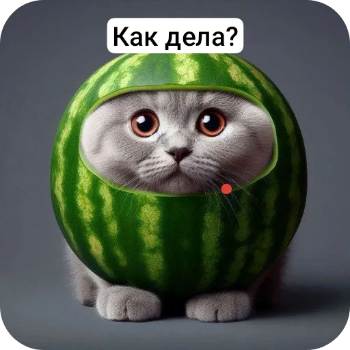 Набор стикеров
