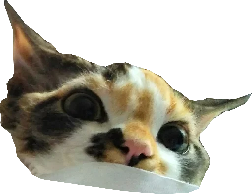 Стикер Котярик