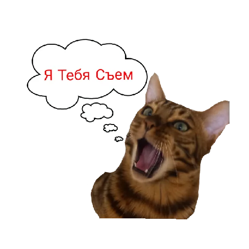 Набор стикеров