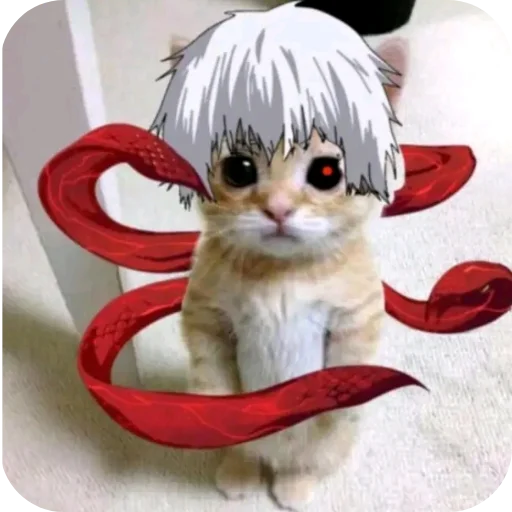 Стикер Котогуль