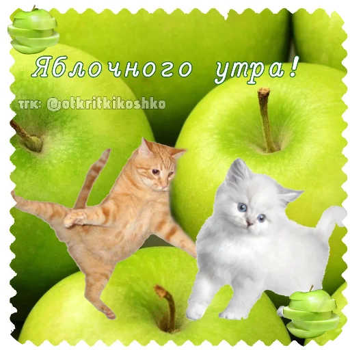 Набор стикеров