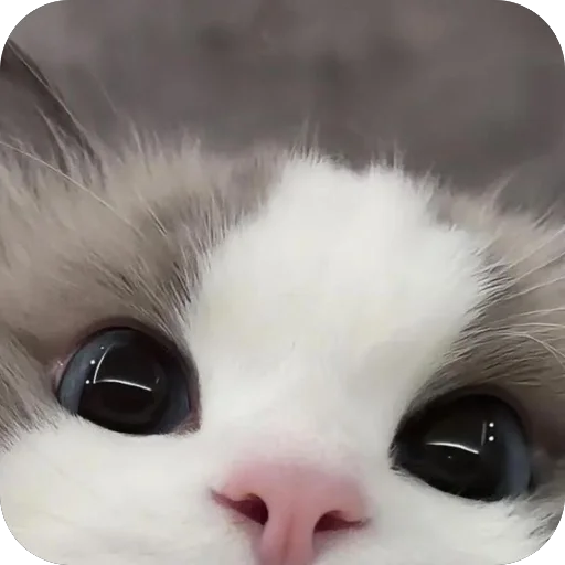 Стикер Котята