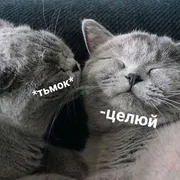 Стикер КотикЦмок