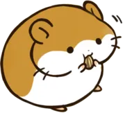 Стикер hamstamp