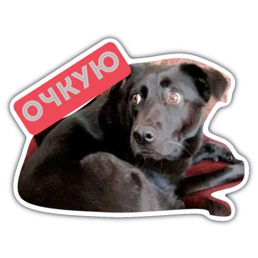 Набор стикеров